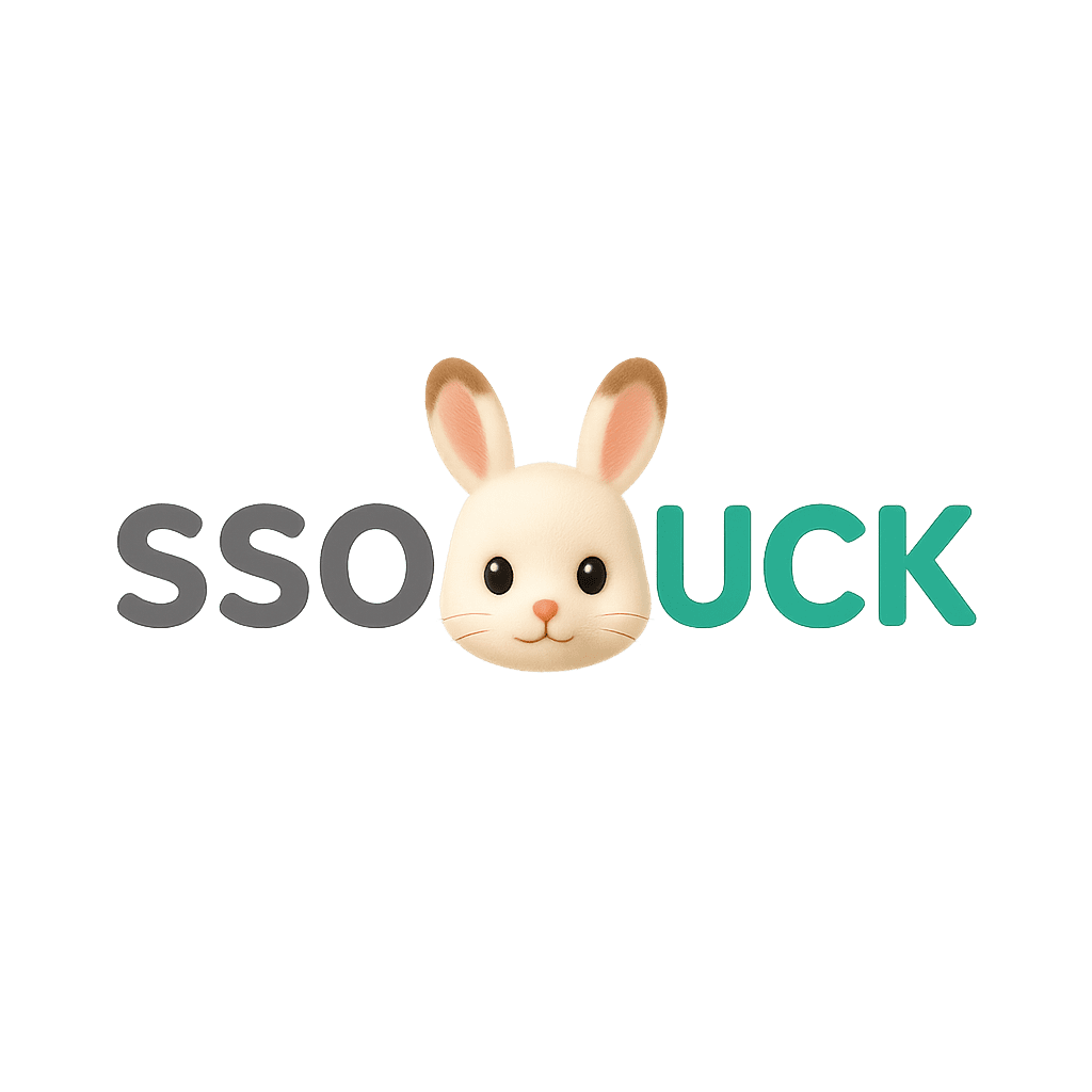 SSOLUCK 로고